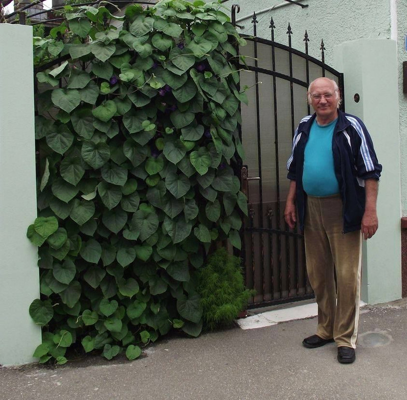 248537615_10223567704278106_4645702054745455190_n