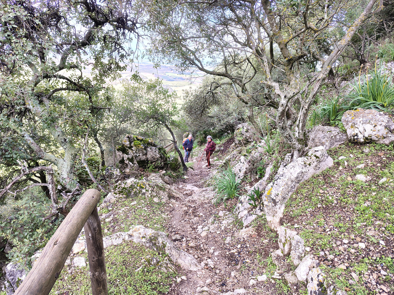 IMG 20260124 111838286 HDR