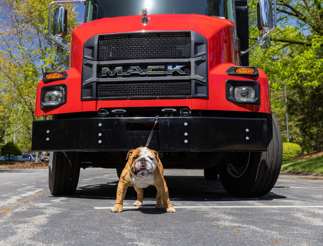 342864428_232632722769170_5831764246542334409_n (1)