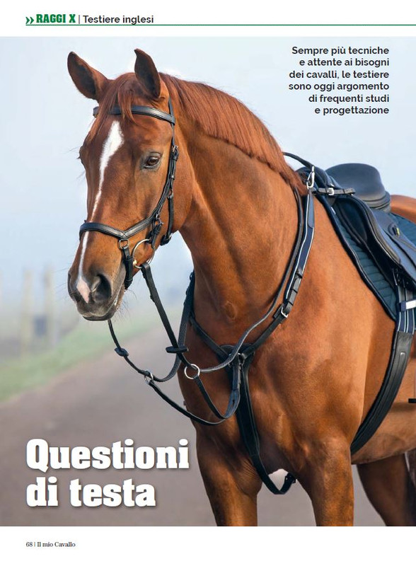 Il Mio Cav (Lug-Ago 2023) 9