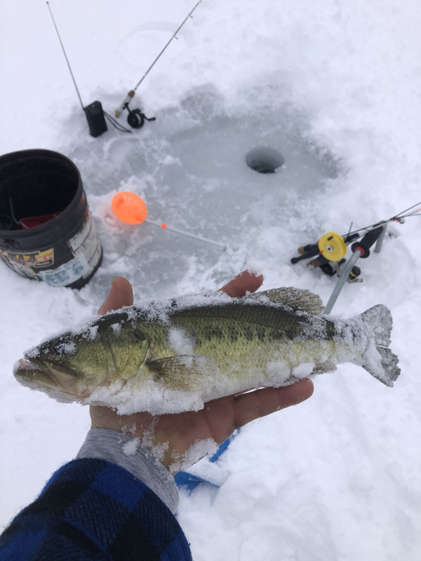 941FC645-E96F-4A7B-B53C-DCACF911A653