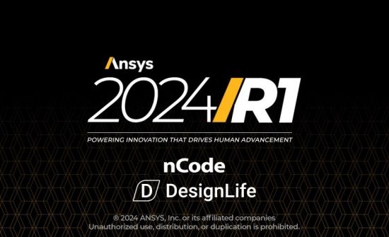 ANSYS 2024 R1 nCode DesignLife (x64)[