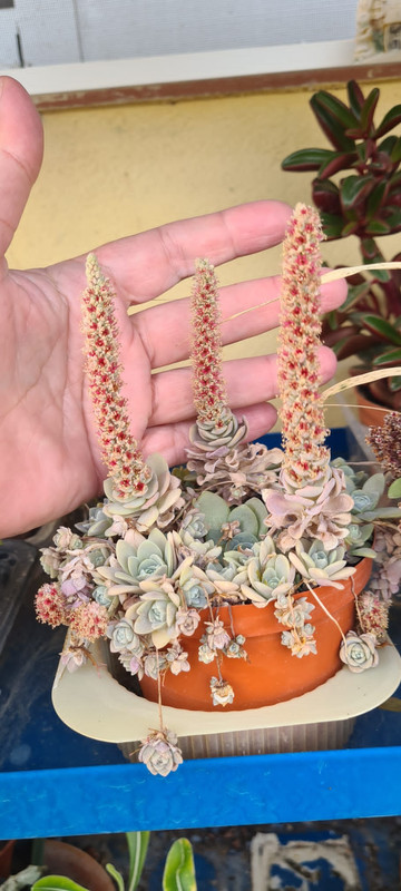 DE810731-6F26-435E-850E-7BE9059B22E2