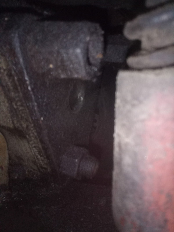 IMG 20251106 182938 851