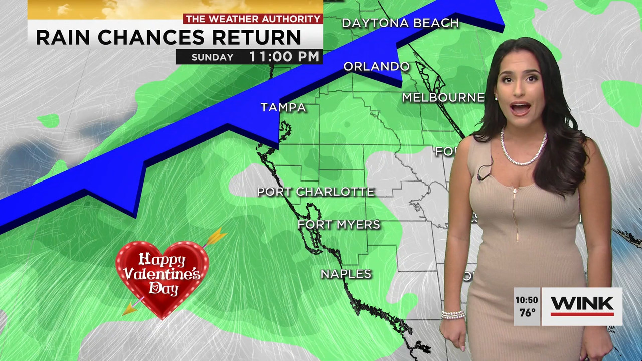 02.09 - 15.00.00 - WINK News at 10 00 a.m..ts_snapshot_00.51.13.739