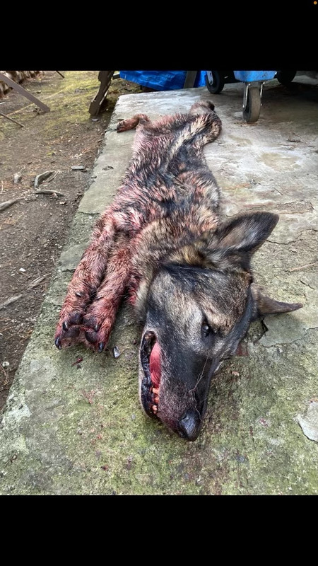 0E5F6AB4-3A5F-455F-BCC1-2748EDC32F44