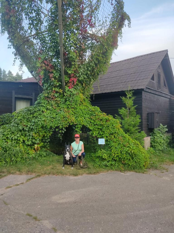 A8B449EB-8F86-4843-8380-B3277496A388