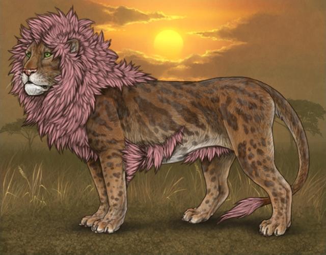 Screenshot 20260309 141034 Firefox Nightly