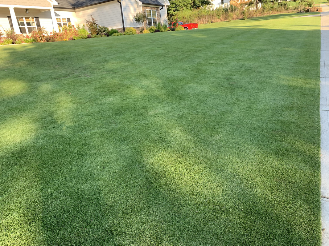 AF8E1FFF-1877-447C-9B2E-E40B814ECA02