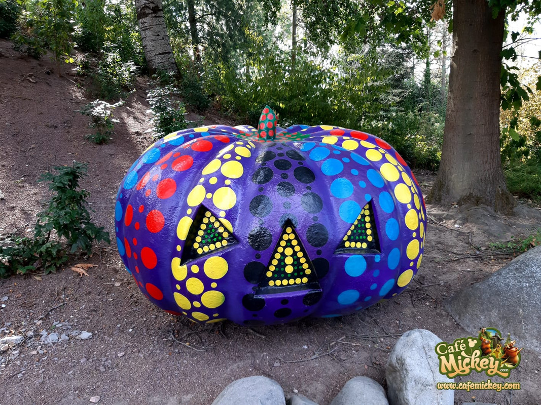 WhatsApp Image 2020-09-03 at 11.44.13 (1)