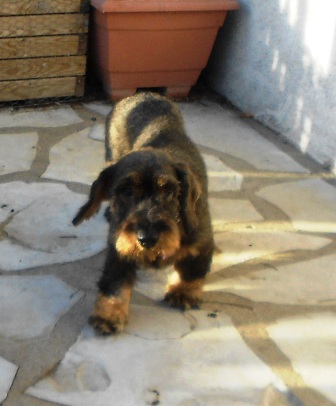 [Image: DSCN3667.jpg]