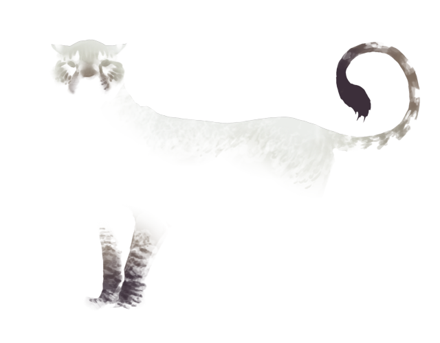 Feline2-Haze.png