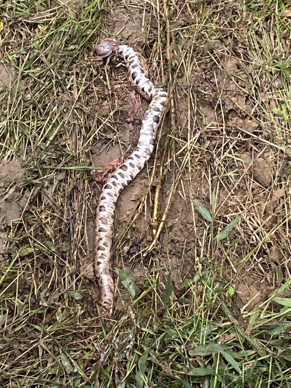 7E3C935F-C987-468A-B33A-58379A6CA7EA