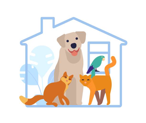 pet care in home