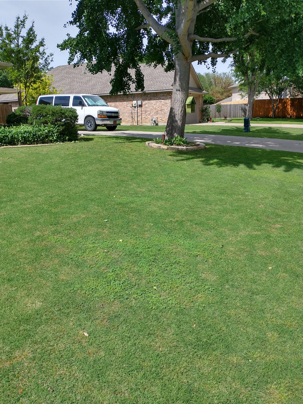 IMG_20210517_155252435_HDR