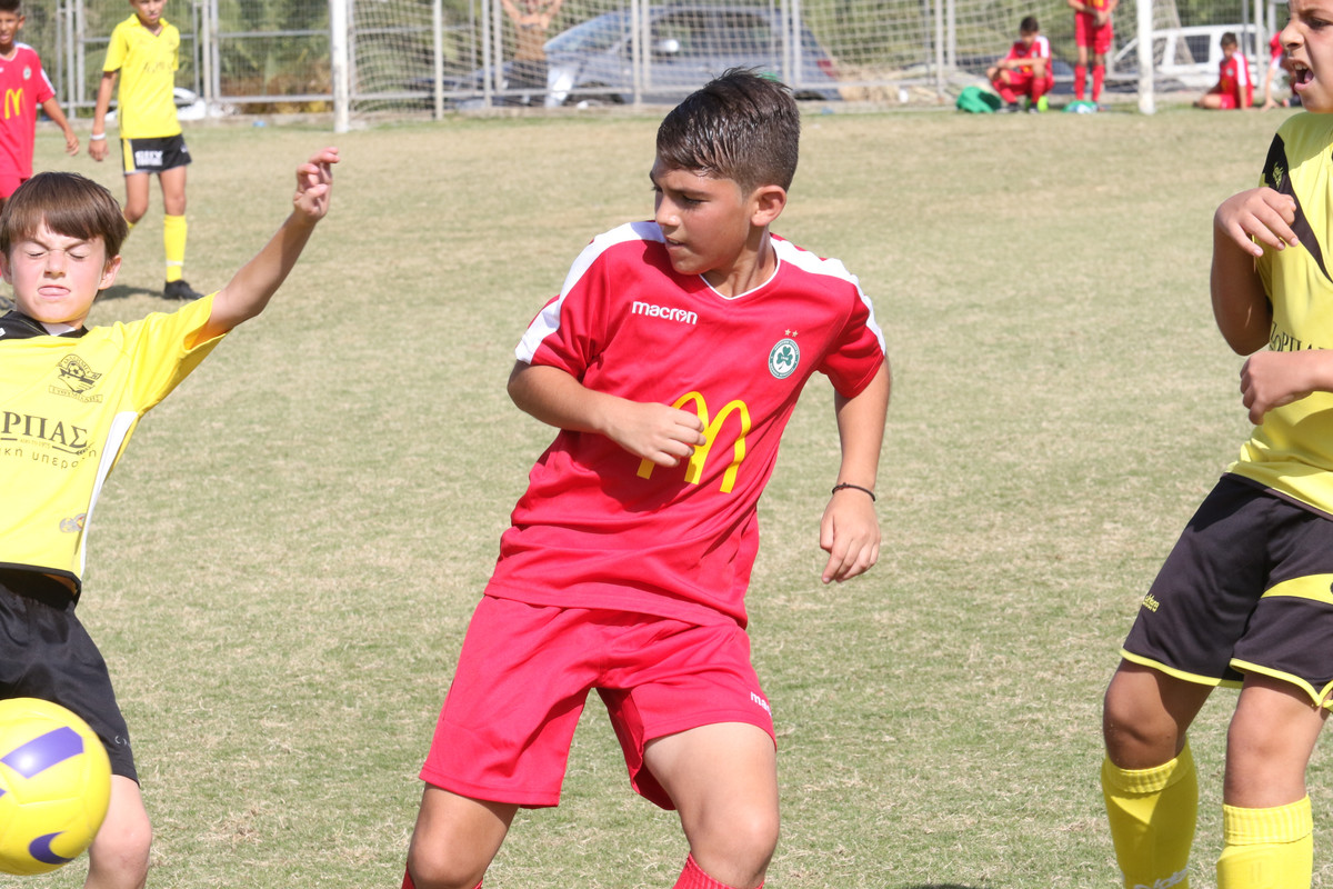KOS_8390