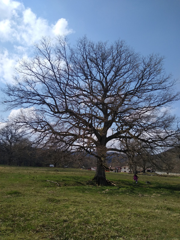 IMG_20210425_143228790