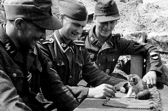 Grupo de soldados estonios de la 20ª División SS Estonia juegan cariñosamente con un gatito