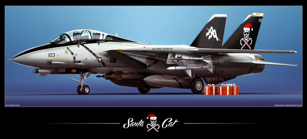 f-14d_santacat2.jpg