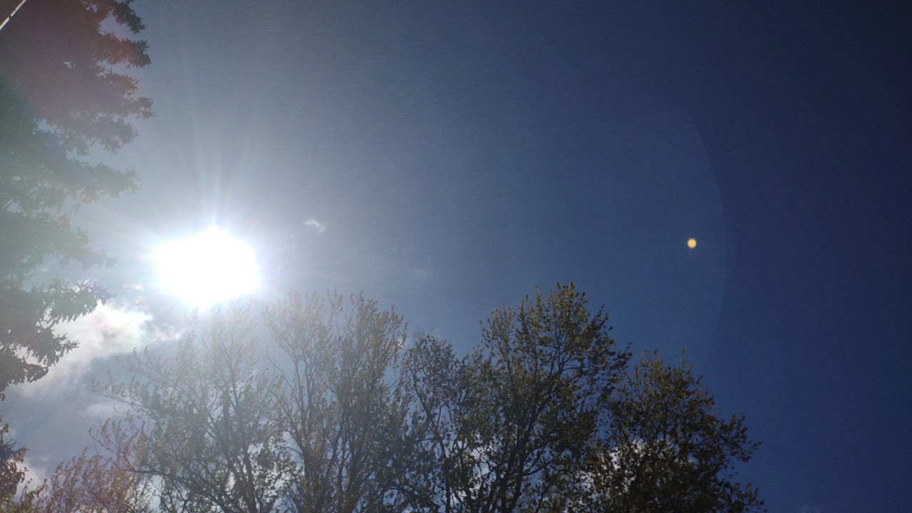 IMG_20250508_104543473