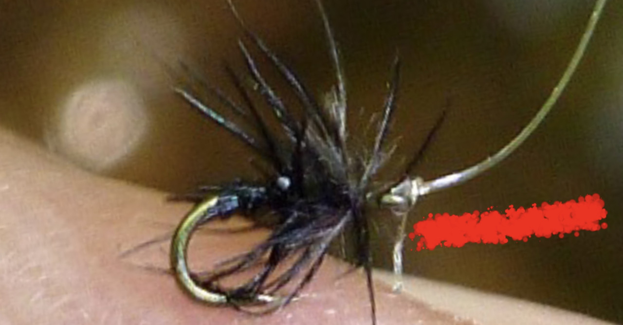 7C898DA9-E210-4831-80CC-0FA2CC3E420F