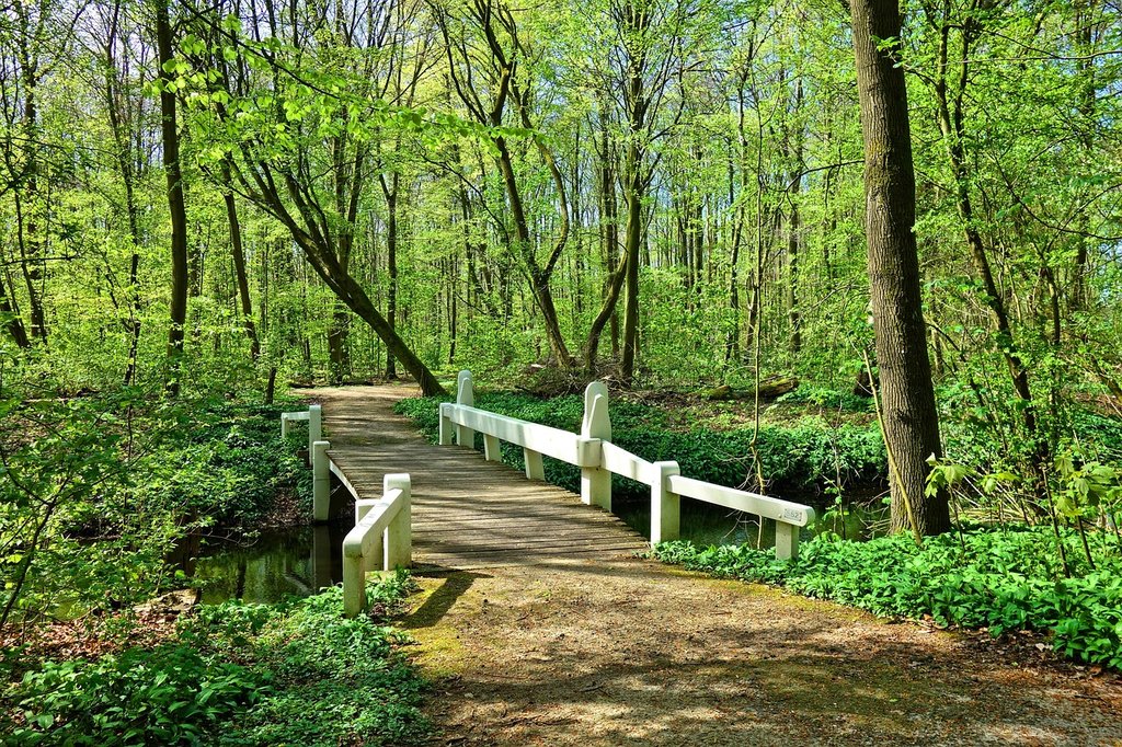 green-woods-bridge.jpg