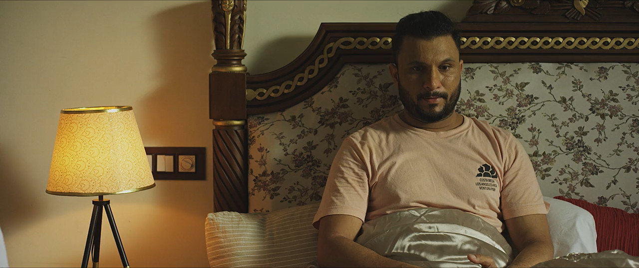 Rajdhani Punjab 2025 WebRip [Punjabi] 480p 720p ESub Screenshot