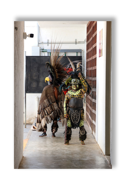 Юкатан. Неделя в декабре 2025