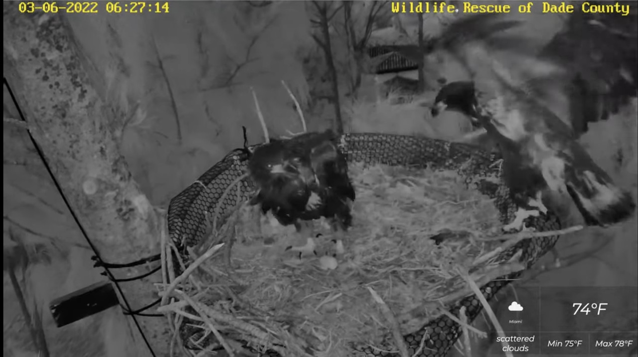 F7EA321F-164C-4B86-9E50-4AA1EE4A5AC9