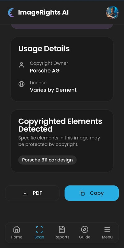 Detailed Copyright Report