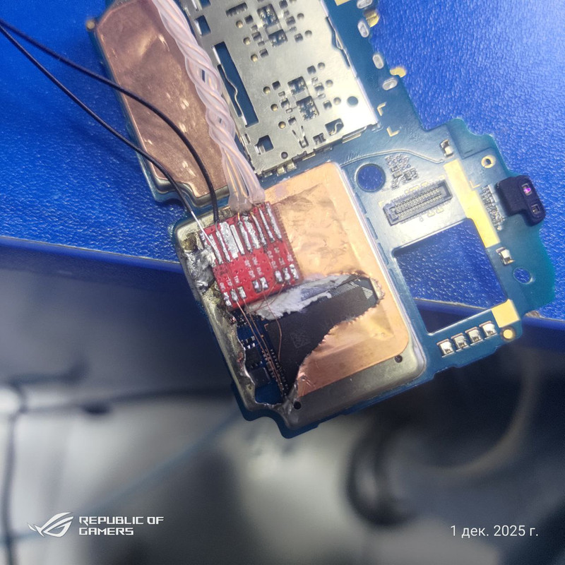 photo 2026 01 07 12 00 11