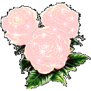 white roses