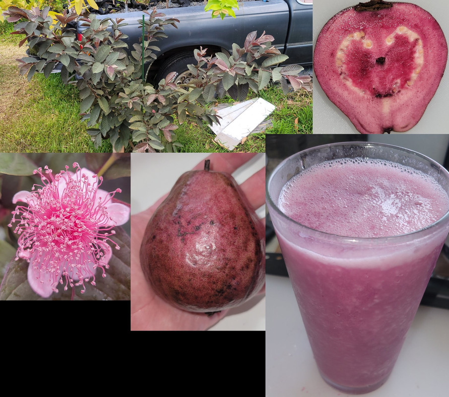 298411606_10223099125761468_7348404853585382960_n