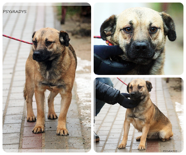 BeFunky-collage (19)