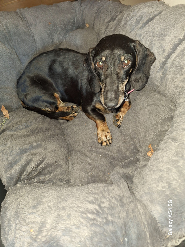 [Image: 20240828-102356.jpg]