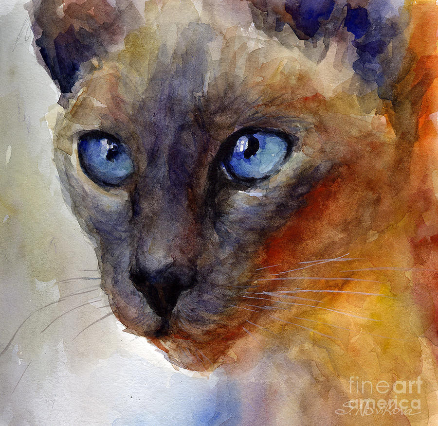 22-intense-siamese-cat-painting-print-2-svetlana-novikova