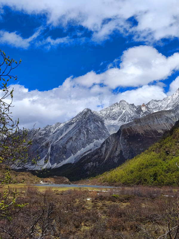 IMG_20230520_152627_副本