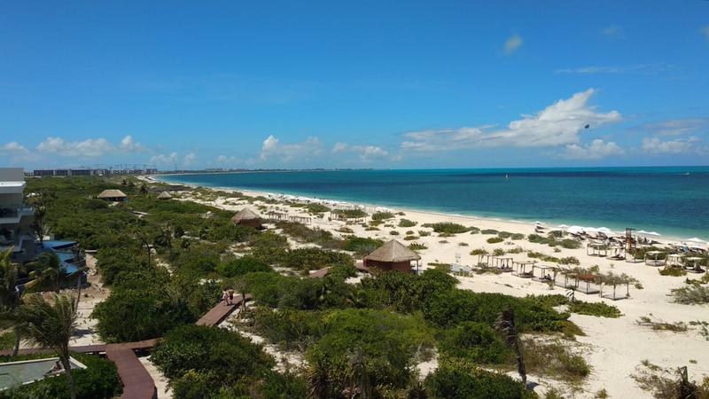 Playas sin Algas en Riviera Maya (Sargazo) - Forum Riviera Maya, Cancun and Mexican Caribbean