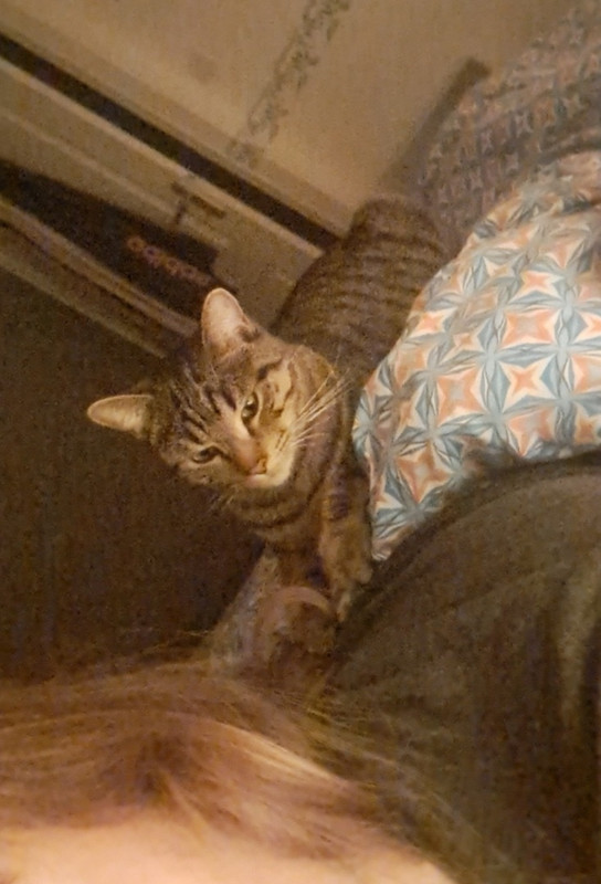 Screenshot_20230114-185608_Email