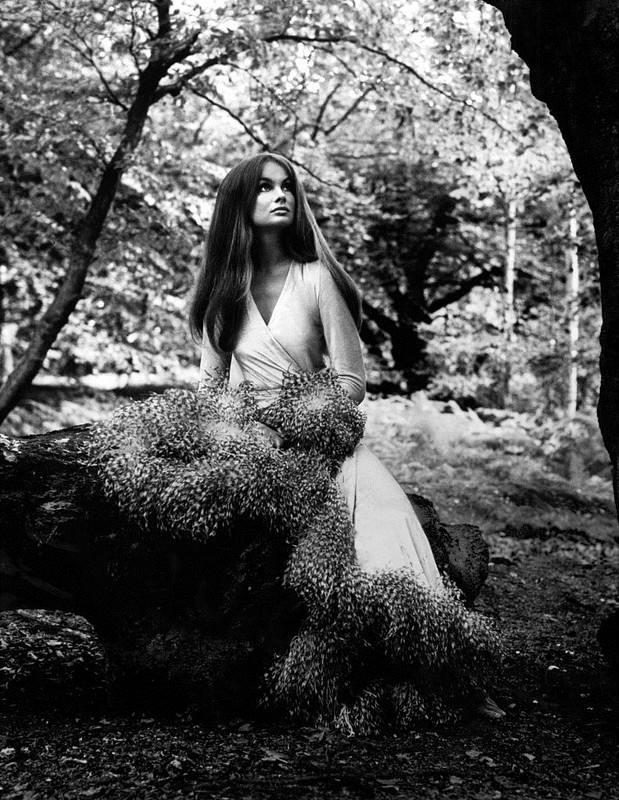 jean_shrimpton_md86