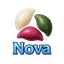 Nova 송편 (이벤트 교환 아이템)