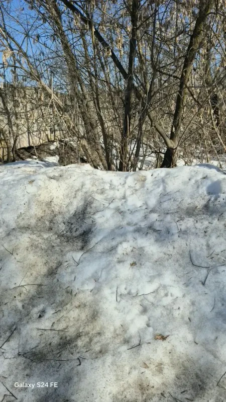 F0B3C350 9238 4C00 9039 C94ADE9D35CB