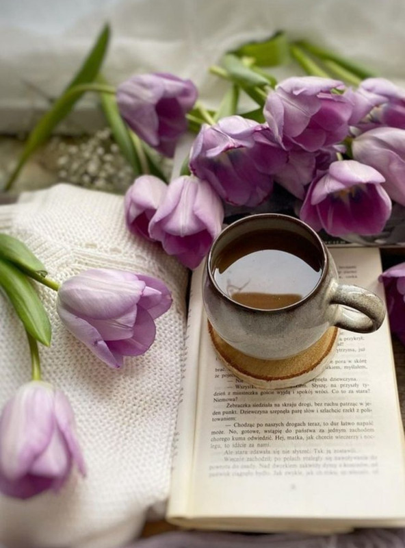 Screenshot_20221213-210114_Chrome