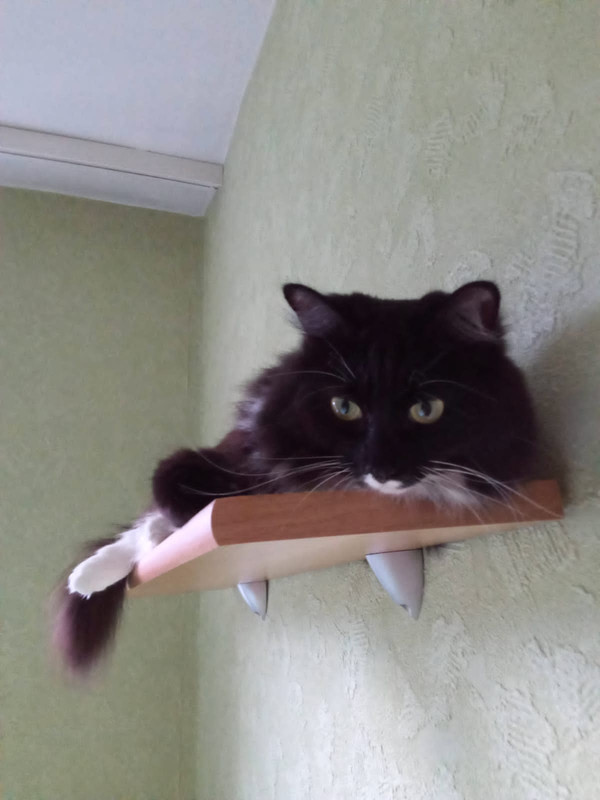 9A00C2AE-7A46-4D74-8695-CE03A54C869E