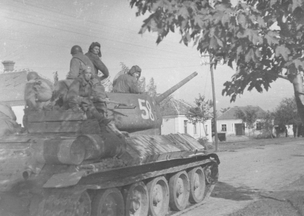 d31f7451 17c5 45e4 8f00 ddd676a9111a