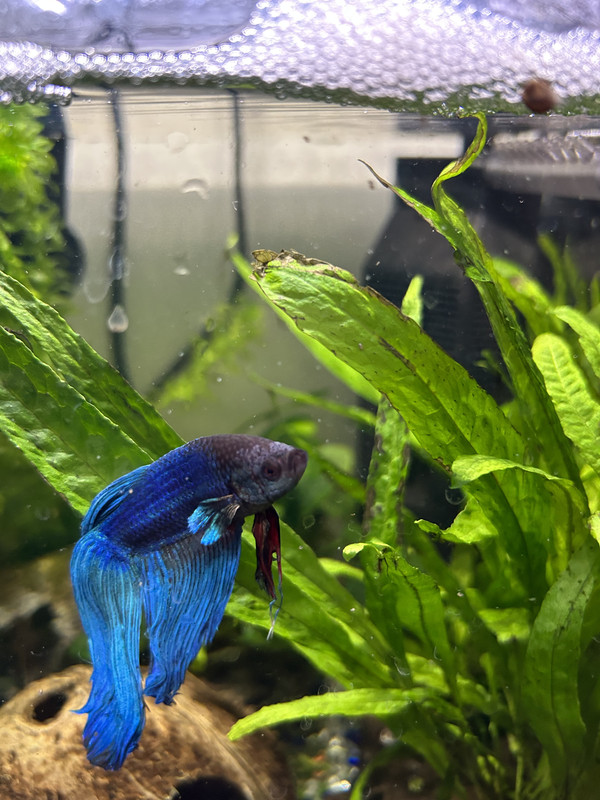 409B3ECB-A16D-4A93-8CE4-4C2513EBAAC9