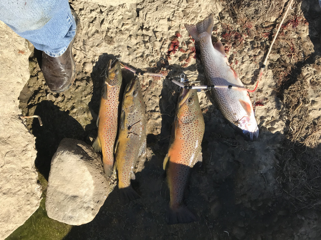 BC3F1F3A-AE51-484D-87E3-3E389C6C9FFD