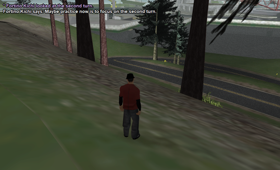 srs054.png