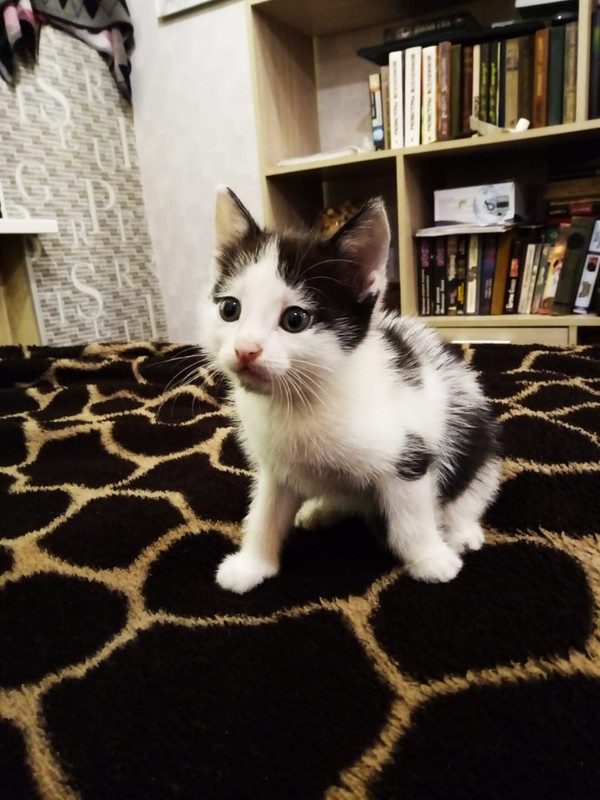 WhatsApp Image 2020-08-06 at 10.05.26 (2)