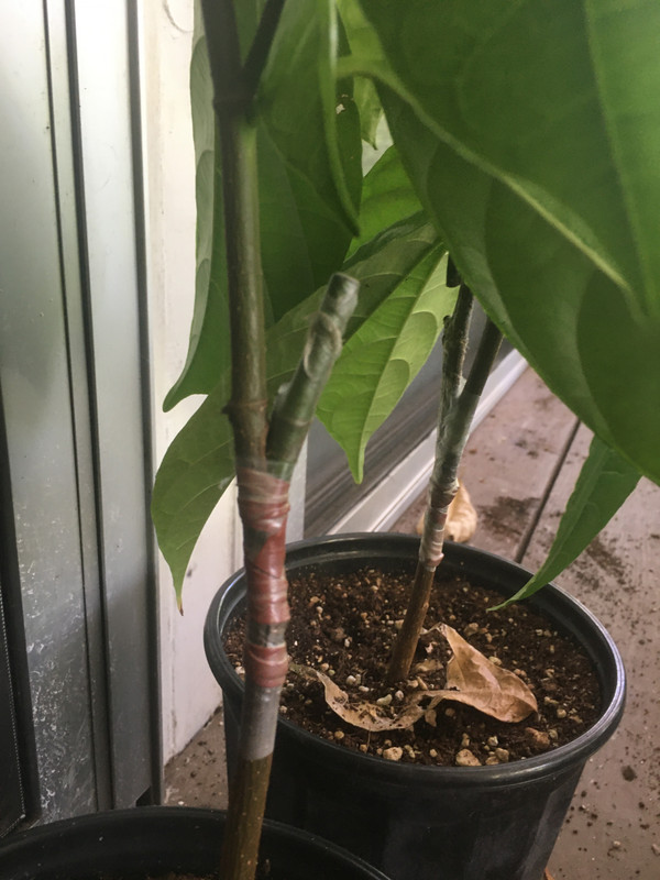 AEA81982-8AF6-43B0-B6BB-B773D7ADAF18